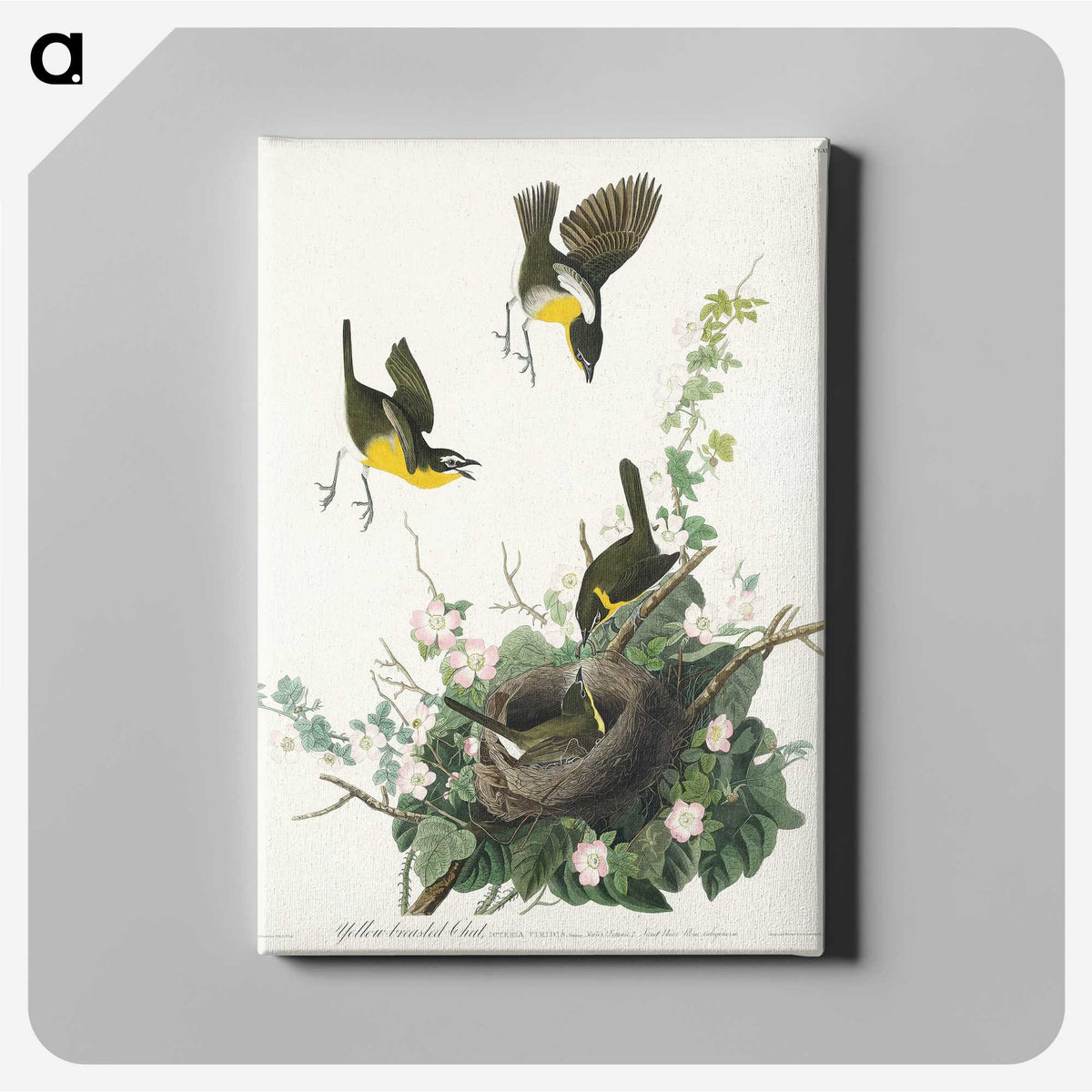 2-97_John-James-Audubon_canvas