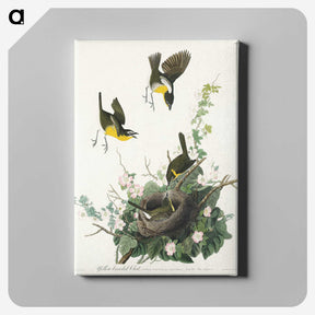 2-97_John-James-Audubon_canvas