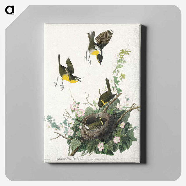 2-97_John-James-Audubon_canvas