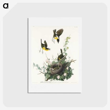 2-97_John-James-Audubon_hagaki
