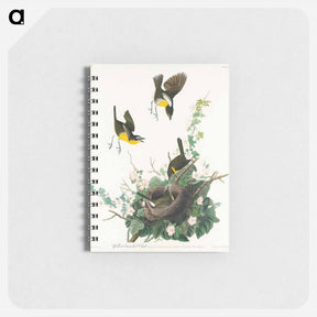 アートメモ帳-Yellow-breasted Chat
 - ジョン ジェームス オーデュボン Memo.