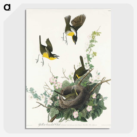 2-97_John-James-Audubon_picture-crop