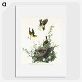 2-97_John-James-Audubon_picture