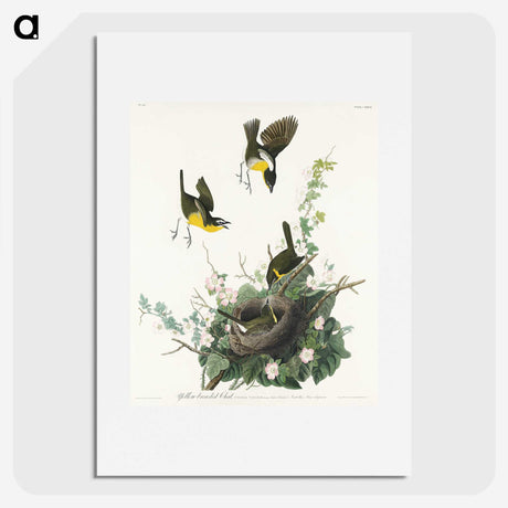2-97_John-James-Audubon_picture