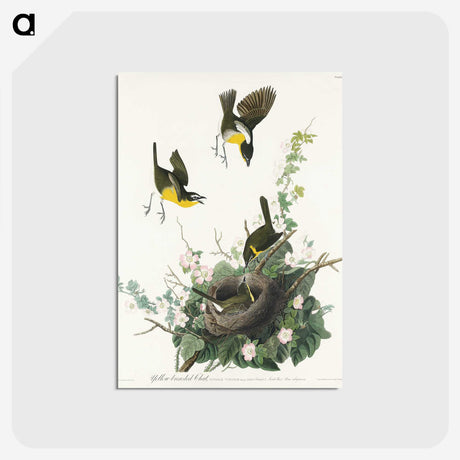 2-97_John-James-Audubon_postcard
