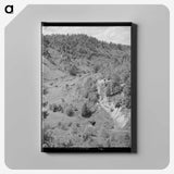 2-97_Marion-Post-Wolcott_canvas