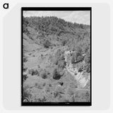 2-97_Marion-Post-Wolcott_picture-crop
