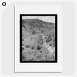 2-97_Marion-Post-Wolcott_picture