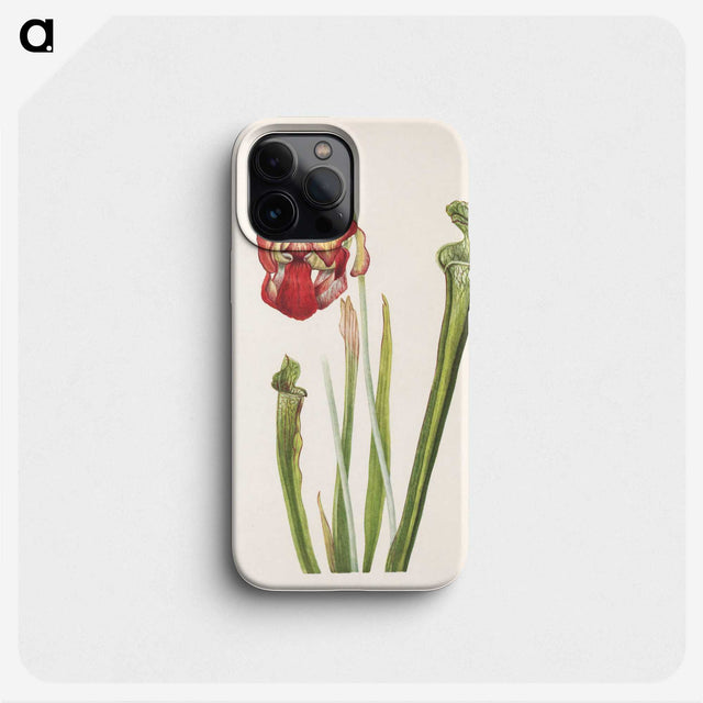 2-97_Mary-Vaux-Walcott_phone