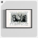 アートポスター-Nervease Advertisement Featuring Three Dogs
 - 国立医学図書館 Poster.