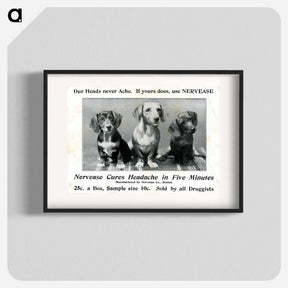 アートポスター-Nervease Advertisement Featuring Three Dogs
 - 国立医学図書館 Poster.