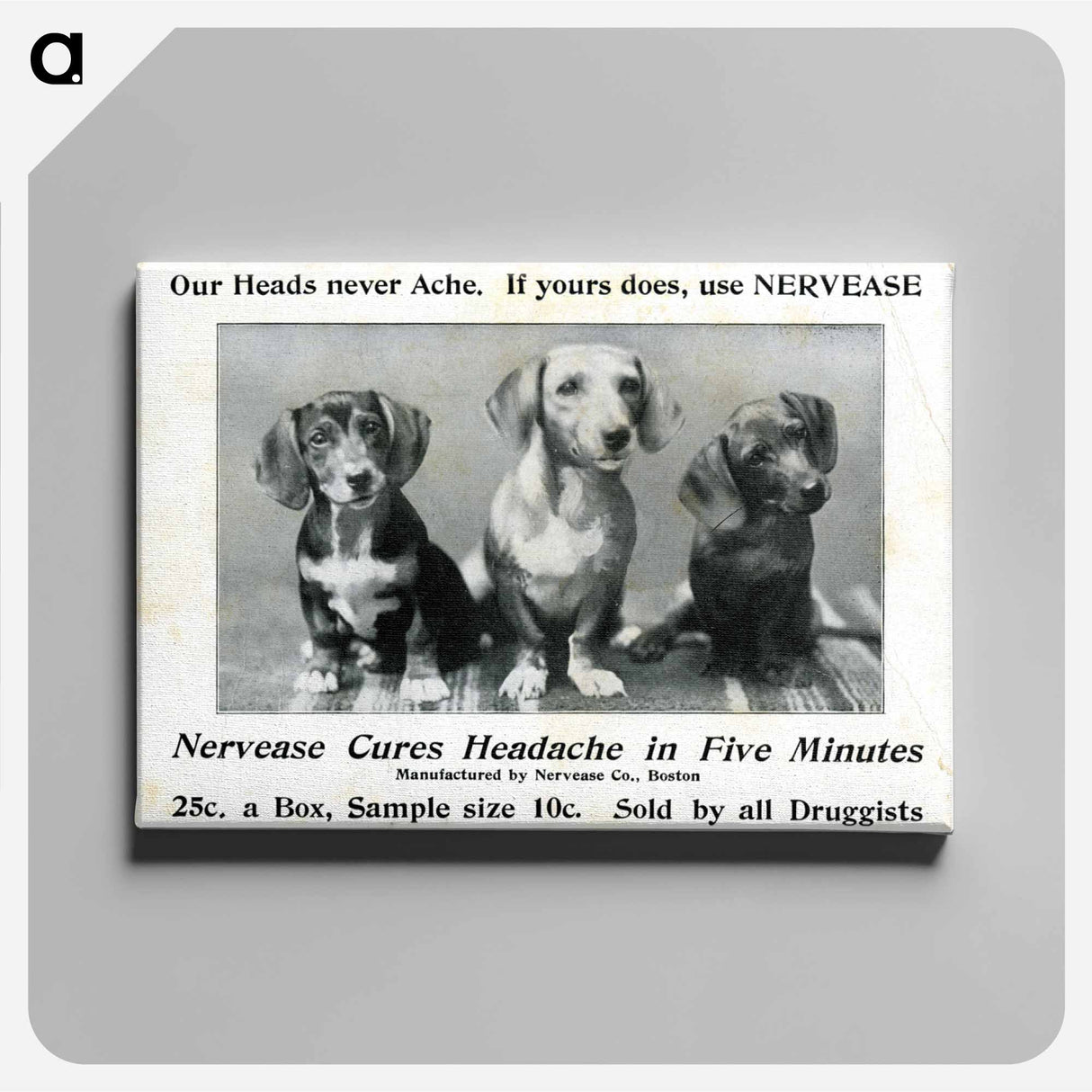 アートパネル-Nervease Advertisement Featuring Three Dogs
 - 国立医学図書館 Canvas.