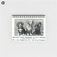アートメモ帳-Nervease Advertisement Featuring Three Dogs
 - 国立医学図書館 Memo.