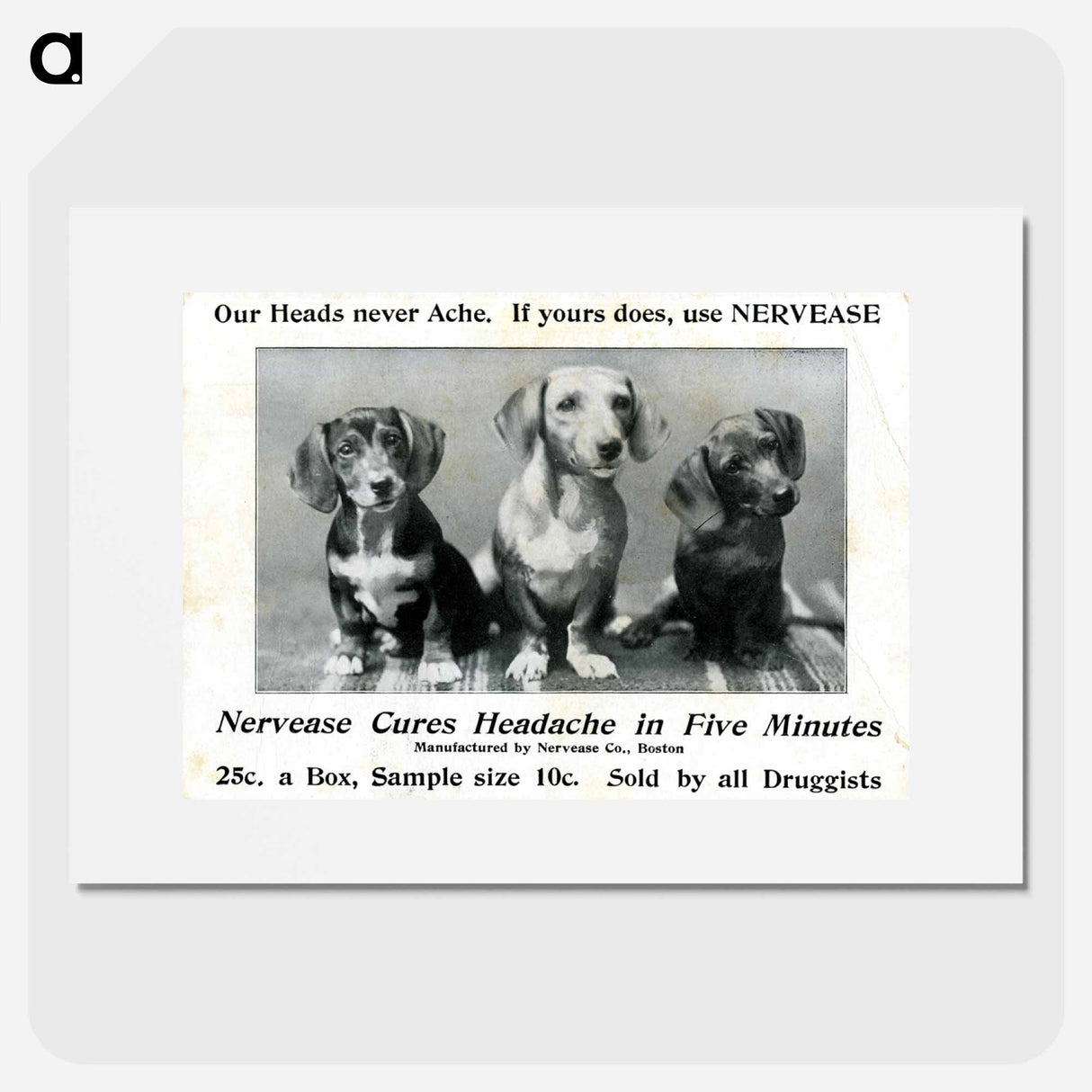 アートポスター-Nervease Advertisement Featuring Three Dogs
 - 国立医学図書館 Poster.