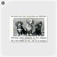 アートポストカード-Nervease Advertisement Featuring Three Dogs
 - 国立医学図書館 Postcard.