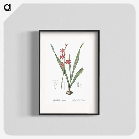 2-97_The-Lilies_blk