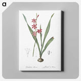 2-97_The-Lilies_canvas