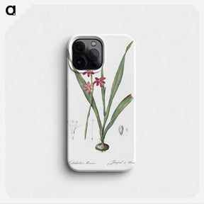 2-97_The-Lilies_phone
