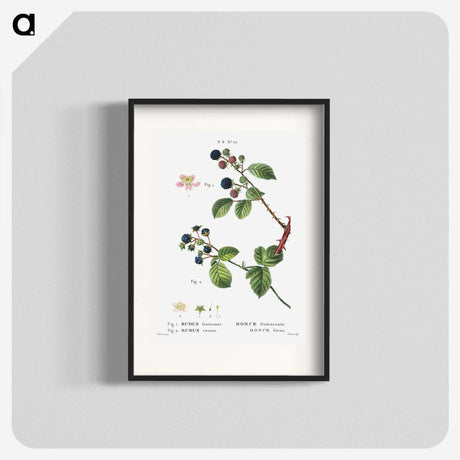 2-97_Treatise-on-Trees-and-Shrubs_blk