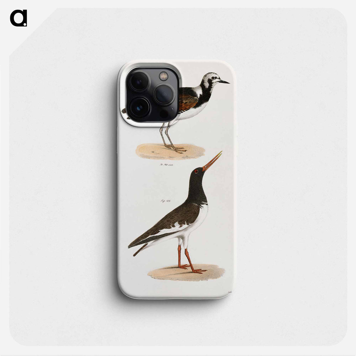 Turnstone (Strepsilas interpres) Mantled Oyster-catcher (Hæmatopus palliatus) - ニューヨークの動物学 Phone Case.