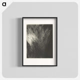 2-98_Alfred-Stieglitz_blk