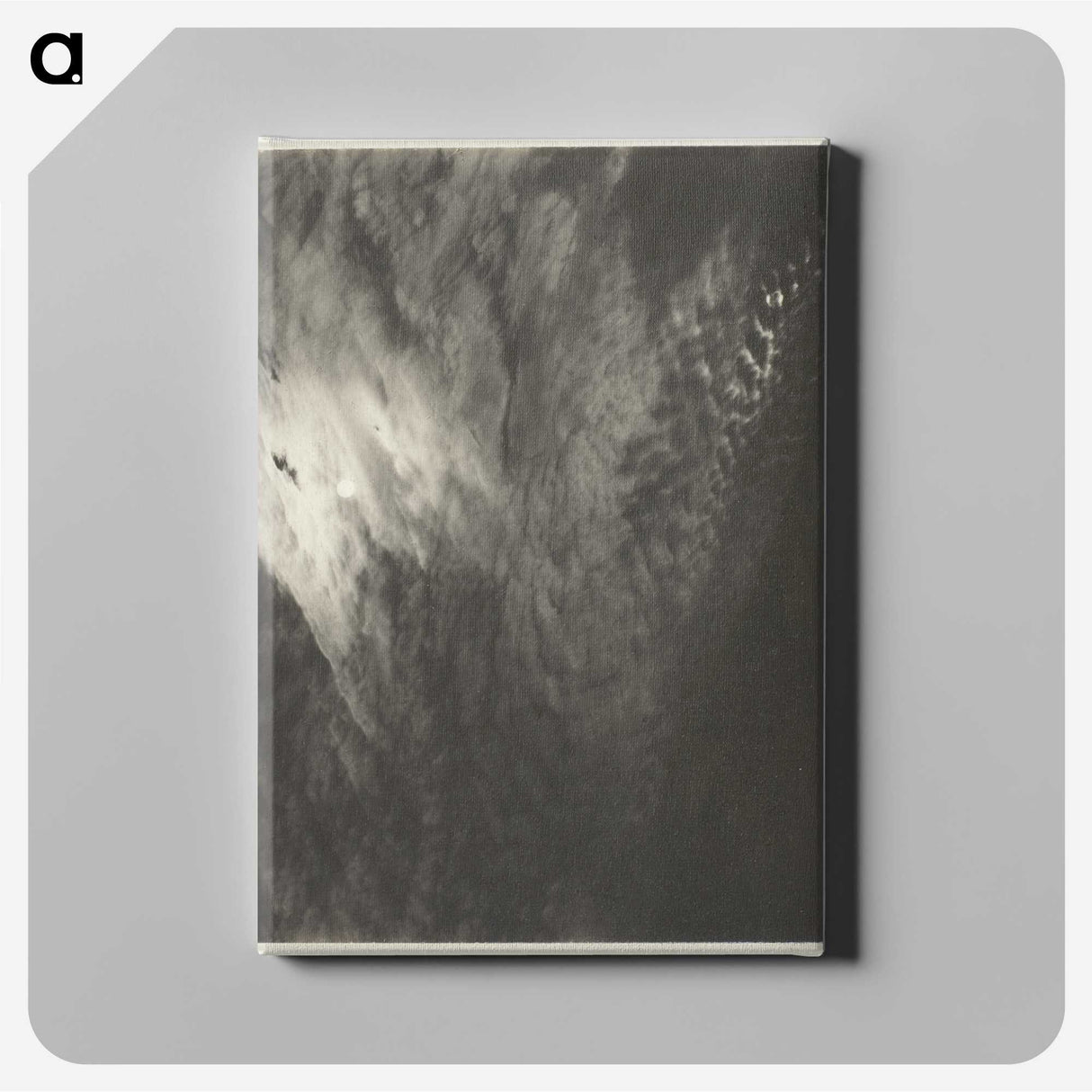 2-98_Alfred-Stieglitz_canvas