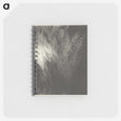 2-98_Alfred-Stieglitz_memo