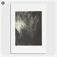 2-98_Alfred-Stieglitz_picture