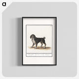 2-98_Anselmus-Boetius-de-Boodt_blk