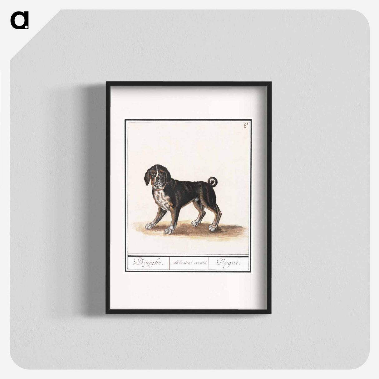 Dog - アンセルムス ボエティウス デ ブート Poster.