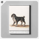 Dog - アンセルムス ボエティウス デ ブート Canvas.
