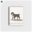 2-98_Anselmus-Boetius-de-Boodt_memo