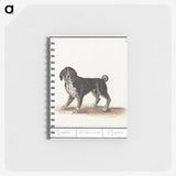 2-98_Anselmus-Boetius-de-Boodt_memo