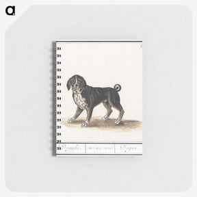 2-98_Anselmus-Boetius-de-Boodt_memo