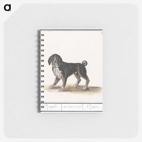 2-98_Anselmus-Boetius-de-Boodt_memo