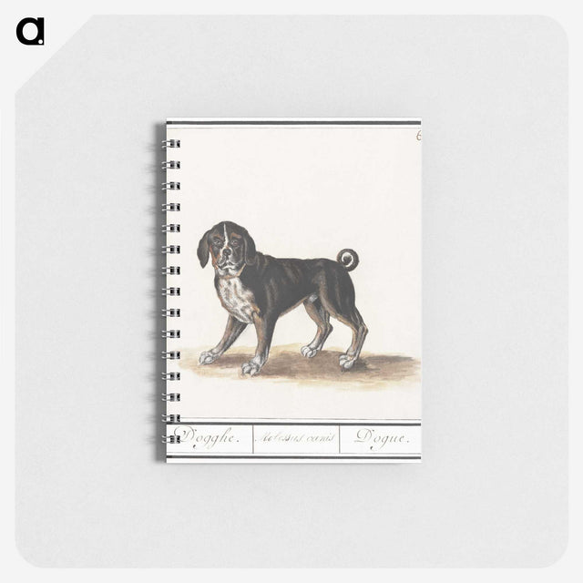 2-98_Anselmus-Boetius-de-Boodt_memo