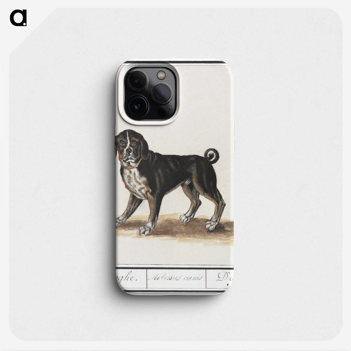 2-98_Anselmus-Boetius-de-Boodt_phone