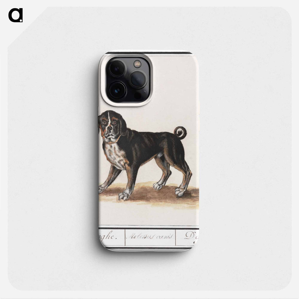 Dog - アンセルムス ボエティウス デ ブート Phone Case.