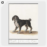 2-98_Anselmus-Boetius-de-Boodt_picture-crop