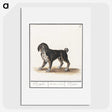 2-98_Anselmus-Boetius-de-Boodt_picture