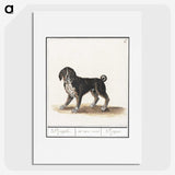 2-98_Anselmus-Boetius-de-Boodt_picture