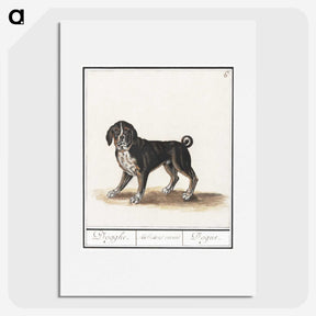 2-98_Anselmus-Boetius-de-Boodt_picture