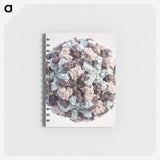 2-98_COVID-19_memo