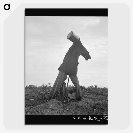 2-98_Dorothea-Lange_picture-crop