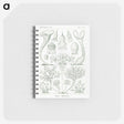 2-98_Ernst-Haeckel_memo