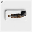 2-98_Ichtyologie-ou-Histoire-naturelle_phone
