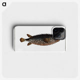2-98_Ichtyologie-ou-Histoire-naturelle_phone