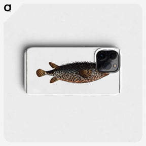2-98_Ichtyologie-ou-Histoire-naturelle_phone