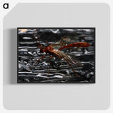 2-98_Insects-Unlocked-Project_blk-crop