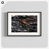 2-98_Insects-Unlocked-Project_blk